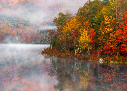 Jezioro, Las, Drzewa, Jesień, Mgła, Odbicie