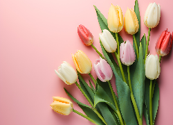 Kwiaty, Kolorowe, Tulipany, Liście, Różowe tło