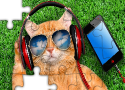 Kot, Słuchawki, Okulary, Telefon, Trawa, Śmieszne