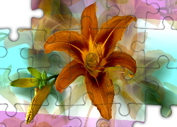 Kwiat, Lilia, Grafika, Kolorowe tło