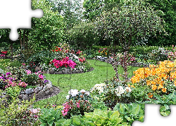 Ogród, Kwiaty, Drzewa, Różaneczniki
