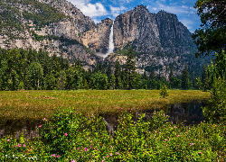 Stany Zjednoczone, Kalifornia, Park Narodowy Yosemite, Góry, Skały, Wodospad, Łąka, Krzewy, Kwiaty