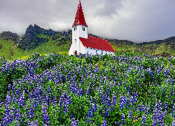 Góry, Kwiaty, Łubin, Kościół, Miejscowość Vik i Myrdal, Islandia