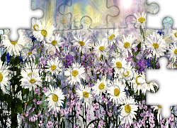 Kwiaty, Margerytki, Kolorowe tło, Grafika