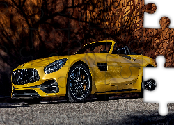 Żółty, Mercedes-AMG GT, Roadster, Bok