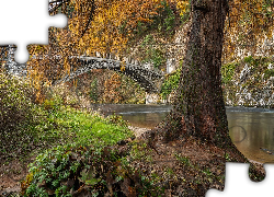 Jesień, Rzeka, Spey River, Most, Craigellachie Bridge, Drzewo, Rośliny, Szkocja