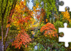 Stany Zjednoczone, Oregon, Portland, Ogród japoński, Jesień, Drzewa, Roślinność, Kolorowa, Mostek