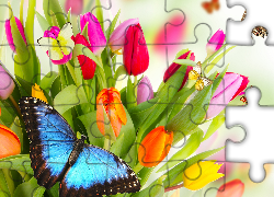 Kwiaty, Kolorowe, Tulipany, Motyle