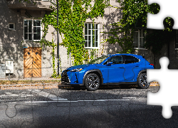 Niebieski, Lexus UX 250h, Dom