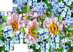 Różowe, Kwiaty, Niebieskie, Niezapominajki, Grafika