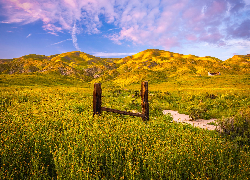 Wzgórza, Góry, Łąka, Kwiaty, Ogrodzenie, Rezerwat przyrody, Carrizo Plain National Monument, Kalifornia, Stany Zjednoczone