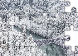 Zima, Śnieg, Las, Drzewa, Rzeka, Tadami River, Most, Tadami River Bridge, Mishima, Fukushima, Japonia