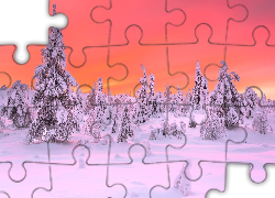 Zima, Ośnieżone, Drzewa, Świerki, Park Narodowy Riisitunturi, Laponia, Finlandia