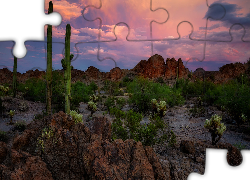 Góry, Kaktusy, Park Narodowy Saguaro, Karnegie olbrzymie, Skały, Arizona, Stany Zjednoczone