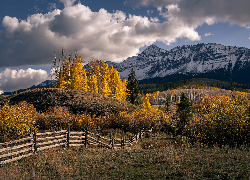 Jesień, Pożółkłe, Drzewa, Ogrodzenie, Góry, San Juan Mountains, Chmury, Kolorado, Stany Zjednoczone