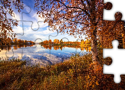 Jezioro, Jesień, Drzewa, Brzoza, Trawa