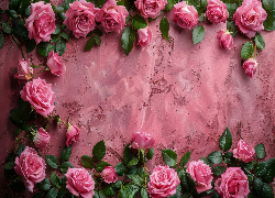 Różowe, Róże, Listki, Różowe, Tło