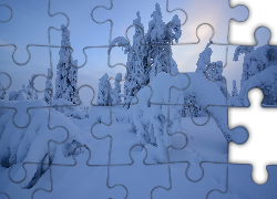 Zima, Śnieg, Drzewa, Rezerwat Valtavaara, Laponia, Finlandia