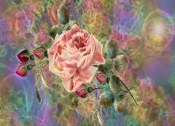 Kwiaty, Róże, Pąki, Liście, Grafika 2D