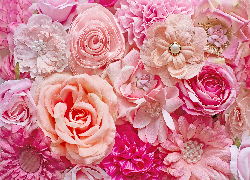 Kwiaty, Różowy, Róże, Perły
