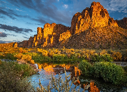 Góry, Skały, Rośliny, Rzeka, Salt River, Arizona, Stany Zjednoczone