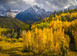 Jesień, Stany Zjednoczone, Kolorado, Szczyt, Mount Sneffels, Góry Skaliste, Lasy, Drzewa, Chmury