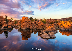 Skały, Drzewa, Jezioro, Watson Lake, Prescott, Arizona, Stany Zjednoczone