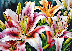 Lilie, Kwiaty, Akwarela