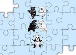 Niedźwiedzie, Polarny, Brunatny, Panda, Rysunek