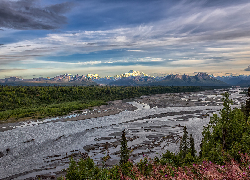 Drzewa, Góry, Alaska Range, Rzeka, Chulitna River, Park Narodowy Denali, Alaska, Stany Zjednoczone