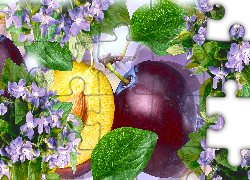 Owoce, Śliwki, Kwiaty, Fiołki, Grafika