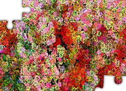 Tekstura, Kwiaty, Kolorowe