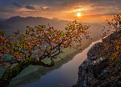 Drzewo, Jesień, Rzeka Łaba, Skały, Zachód słońca, Saksonia, Niemcy