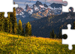 Góry, Drzewa, Łąki, Kwiaty, Park Narodowy Mount Rainier, Stan Waszyngton, Stany Zjednoczone
