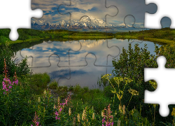 Góry, Staw, Reflection Pond, Krzewy, Rośliny, Park Narodowy Denali, Góry, Kordyliery, Alaska, Stany Zjednoczone