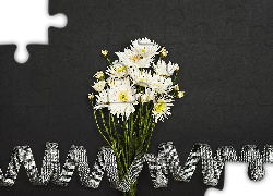 Kwiaty, Białe, Chryzantemy, Wstążka