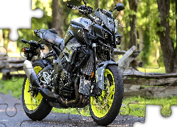 Motocykl, Yamaha FZ10