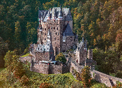 Niemcy, Zamek Eltz, Wieża, Las, Drzewa, Jesień