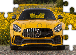 Żółty, Mercedes-AMG GT R, Przód