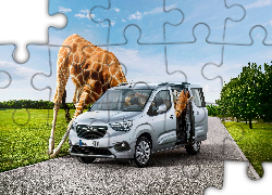 Opel Combo, 2018, Żyrafa, Śmieszne