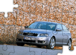 Srebrne, Audi A3