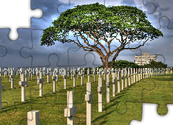 Cmentarz, Drzewo, Krzyże