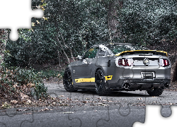 Ford, Mustang, Tuning, Chicane