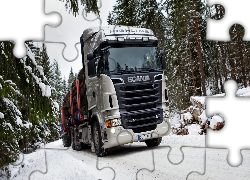 Scania R730, Ciężarówka, Drewno, Śnieg