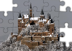 Niemcy, Zamek Hohenzollern, Wzgórze, Zima, Drzewa