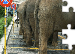 Słonie, Parking