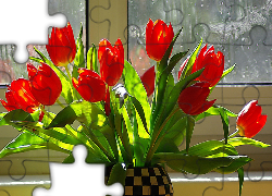 Okno, Bukiet, Tulipanów