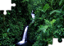 Wodospad, Dżungla, Zieleń