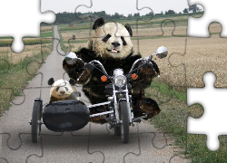 Pandy, Na, Motocyklu