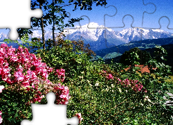 Góry, Mont Blanc, Francja